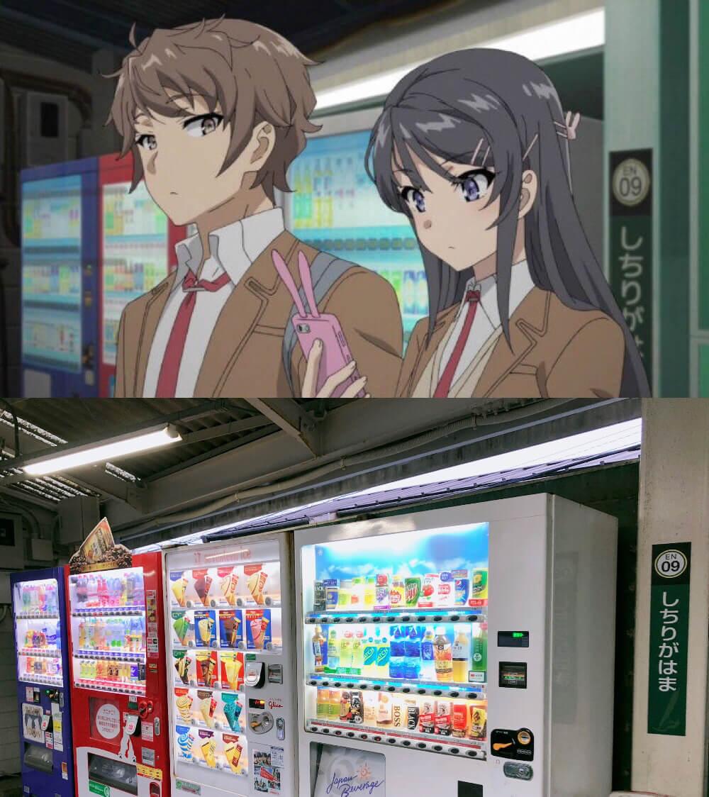 mai-tour19